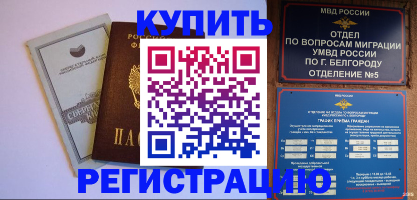 прописка гарантия в Гвардейске